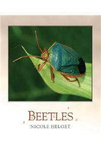 Beetles