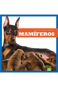 Mamiferos / Mammals