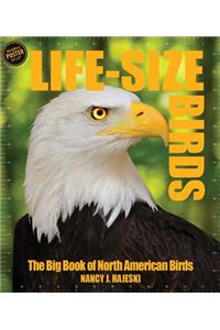 Life-Size Birds: The Big Book of North American Birds