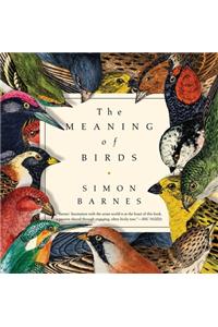 Meaning of Birds