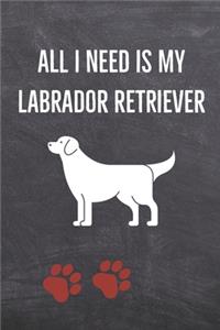 All I need is my Labrador Retriever