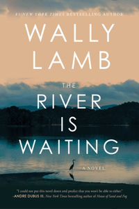 The River Is Waiting (Oprah's Book Club)