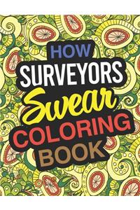 How Surveyors Swear Coloring Book