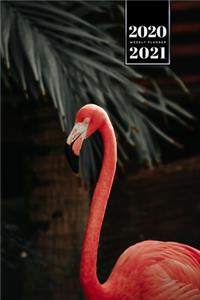 Flamingo Bird Watching Week Planner Weekly Organizer Calendar 2020 / 2021 - Sunshine