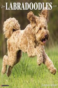 Just Labradoodles 2018 Wall Calendar (Dog Breed Calendar)