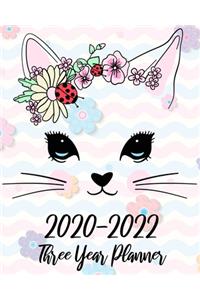 2020-2022 Three Year Planner