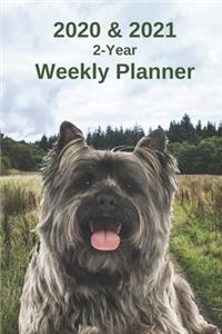 2020 & 2021 Weekly Planner - Two Year Appointment Book Gift - Two-Year Agenda Notebook for Cairn Terrier Dog Owners