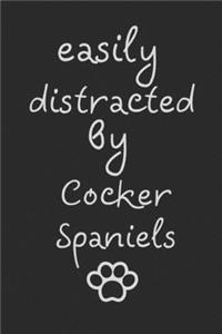 Easily distracted by Cocker Spaniels