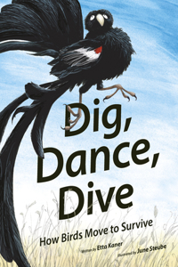 Dig, Dance, Dive