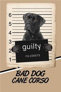 Bad Dog Cane Corso