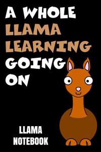 Llama Notebook a Whole Llama Learning Going on