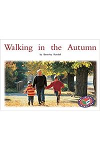 Walking in the Autumn PM Non Fiction Level 14&15 Time and Season Green