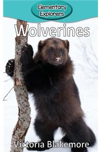 Wolverines