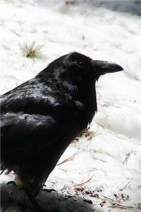 The Crow Notebook