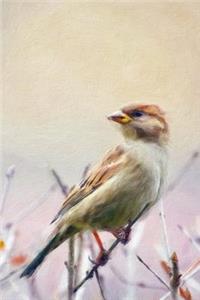 A Sparrow in Springtime - Blank Notebook