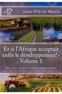 Et si l'Afrique acceptait enfin le développement ! - Volume 1