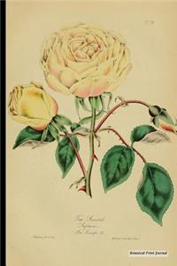 Botanical Print Journal