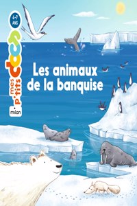 Mes p'tits docs/Mes docs animes