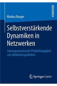 Selbstverstärkende Dynamiken in Netzwerken