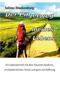 Pilgerweg meines Lebens