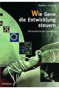 Wie Gene die Entwicklung steuern