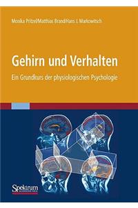 Gehirn und Verhalten