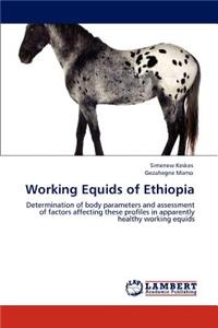 Working Equids of Ethiopia