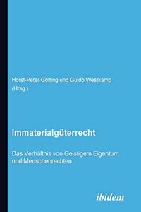 Immaterialgüterrecht. Das Verhältnis von Geistigem Eigentum und Menschenrechten.