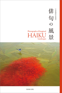 Photographs of Imagined Haiku Landscapes