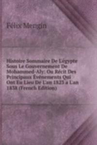 Histoire Sommaire De L'egypte Sous Le Gouvernement De Mohammed-Aly: Ou Recit Des Principaux Evenements Qui Ont Eu Lieu De L'an 1823 a L'an 1838 (French Edition)