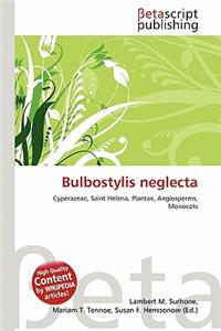 Bulbostylis Neglecta