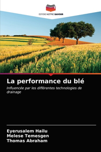 performance du blé