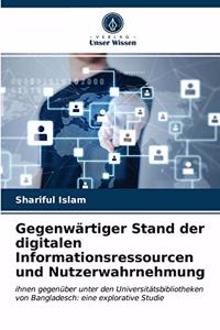 Gegenwärtiger Stand der digitalen Informationsressourcen und Nutzerwahrnehmung