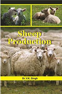 Sheep Production