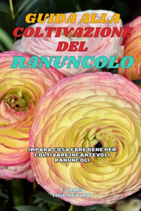 Guida alla Coltivazione del Ranuncolo