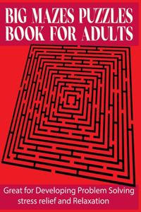 Big Mazes Puzzles Book For Adults