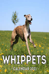 Whippets Calendar 2021