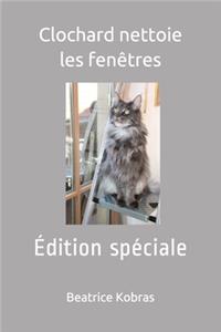 Clochard nettoie les fenêtres