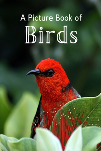 A Picture Book of Birds