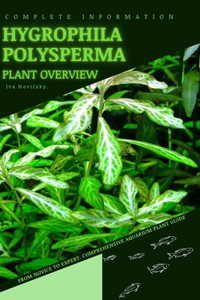 Hygrophila Polysperma