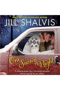 One Snowy Night