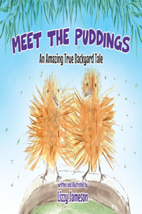 Meet the Puddings