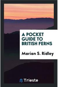 A Pocket Guide to British Ferns