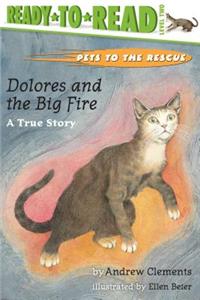 Dolores and the Big Fire