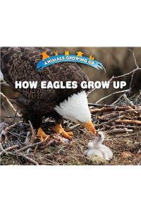 How Eagles Grow Up