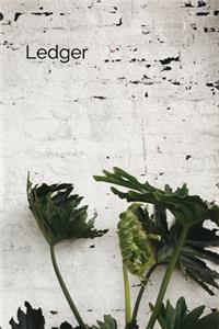 Ledger