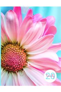 2020 Weekly Planner - Dot Grid - Summer Daisy