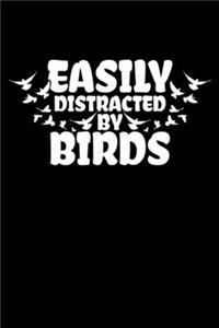 Easily Distracted by Birds