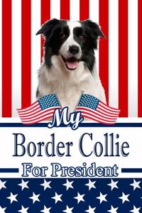My Border Collie for President