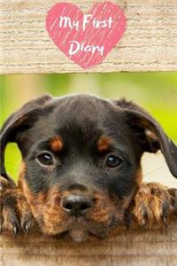 My First Diary